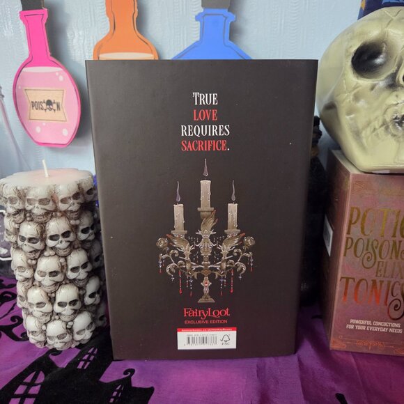 Where Shadows Meet by Patrice Caldwell Fairyloot March 2025 Eternal Embrace - Picture 3 of 8